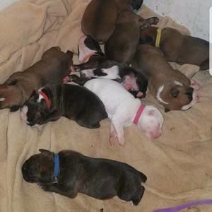 Meet your Posher, Vesta